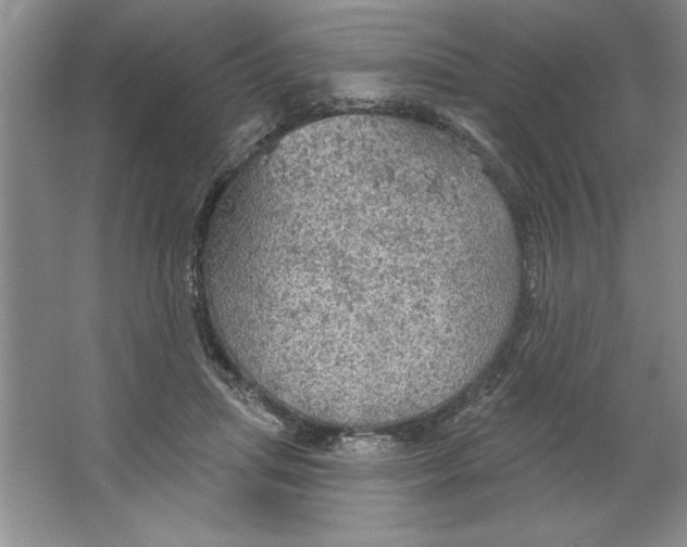 X0000064740455200603031712