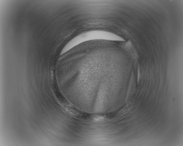 X0000064740456200603031712