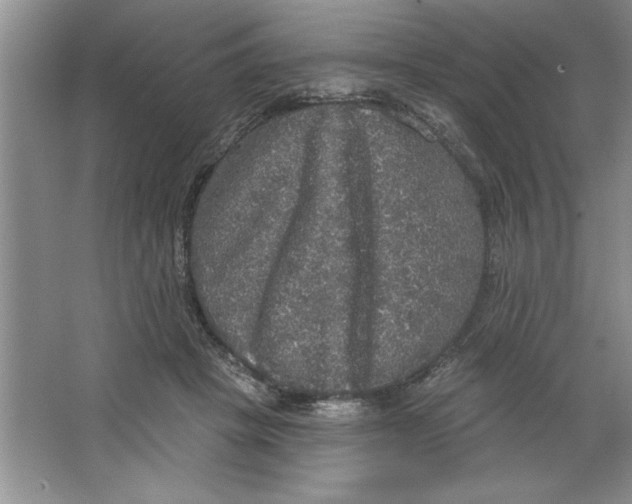 X0000064740457200603031712