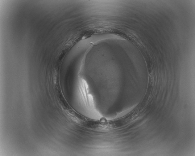 X0000064740458200603031712