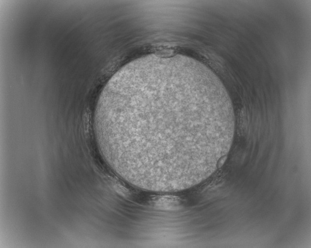 X0000064740463200603031712