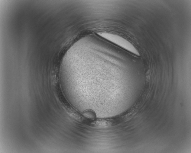 X0000064740464200603031712