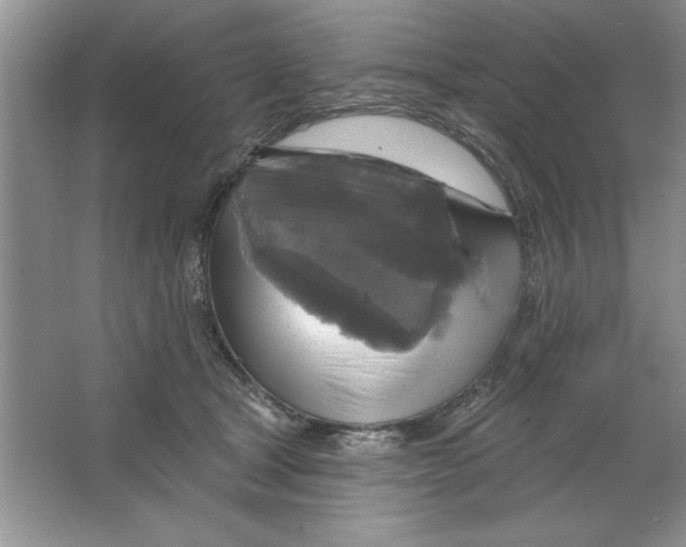 X0000064740465200603031712