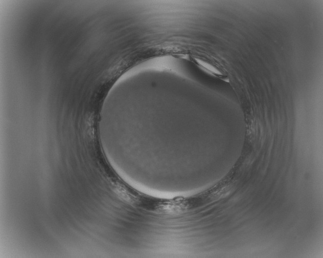 X0000064740466200603031712