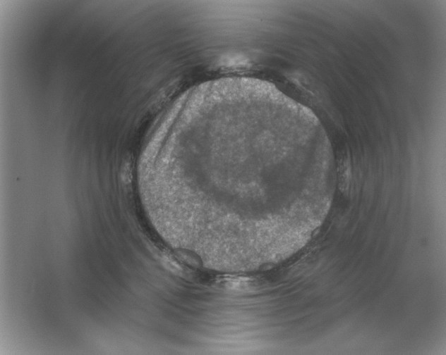 X0000064740472200603031712