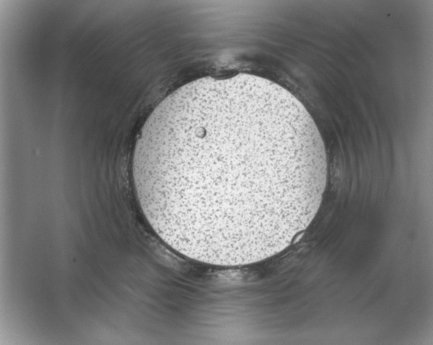 X0000064740473200603031712