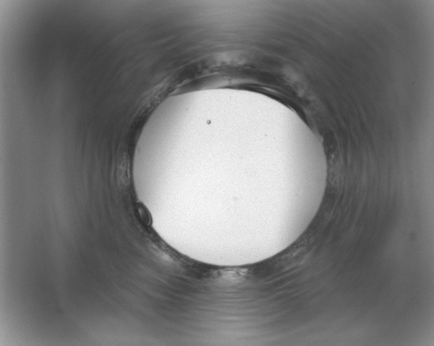 X0000064740474200603031712