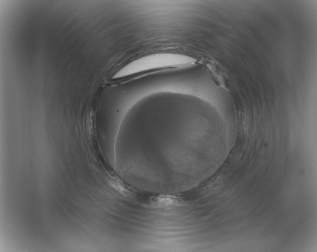 X0000064740475200603031712