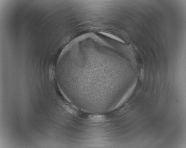 X0000064740476200603031712