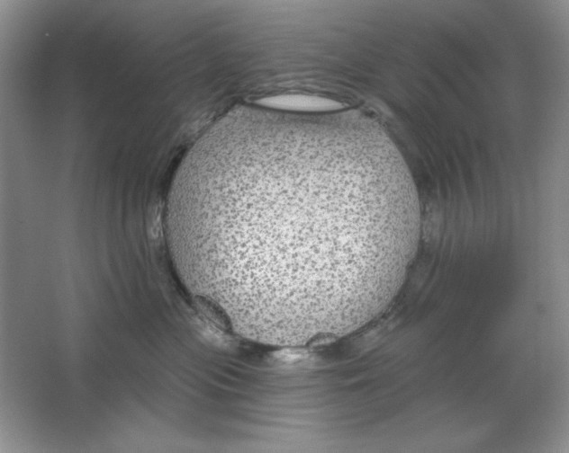 X0000064740477200603031712