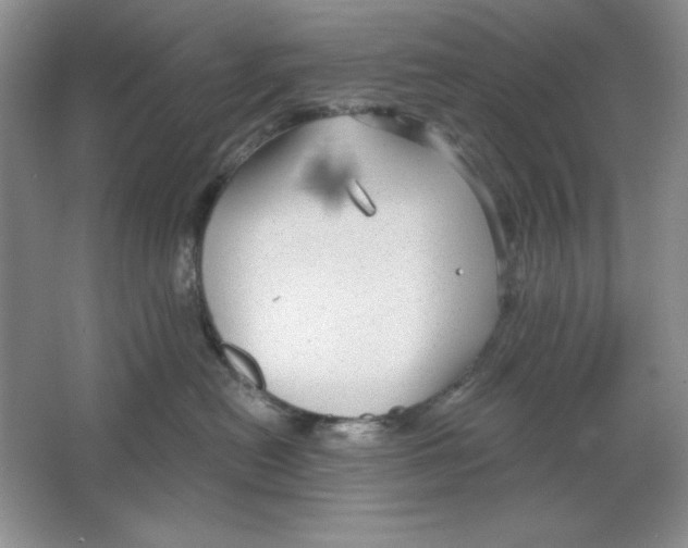 X0000064740478200603031712