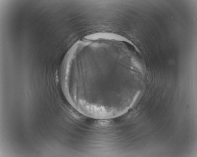 X0000064740479200603031712