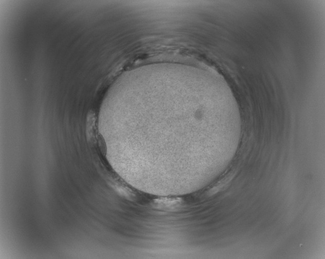 X0000064740480200603031712