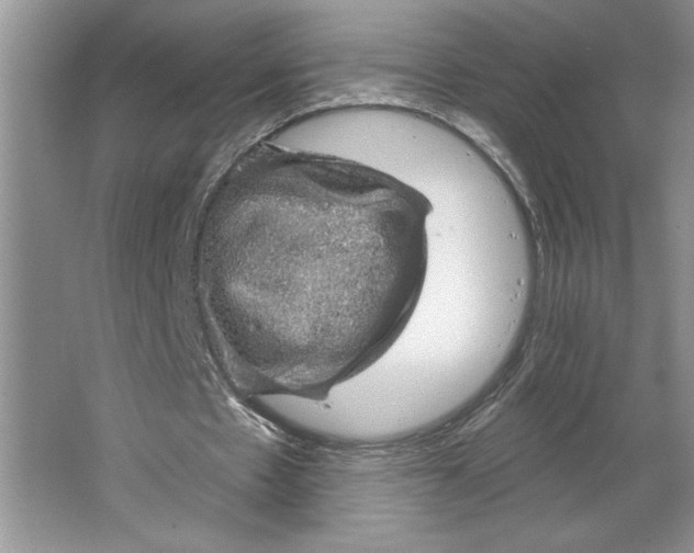 X0000064740481200603031711