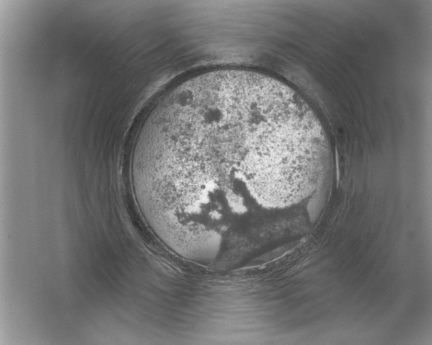 X0000064740483200603031711