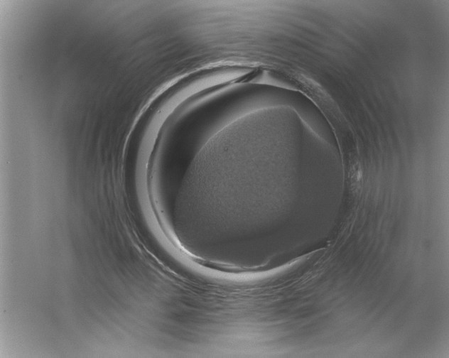 X0000064740484200603031711