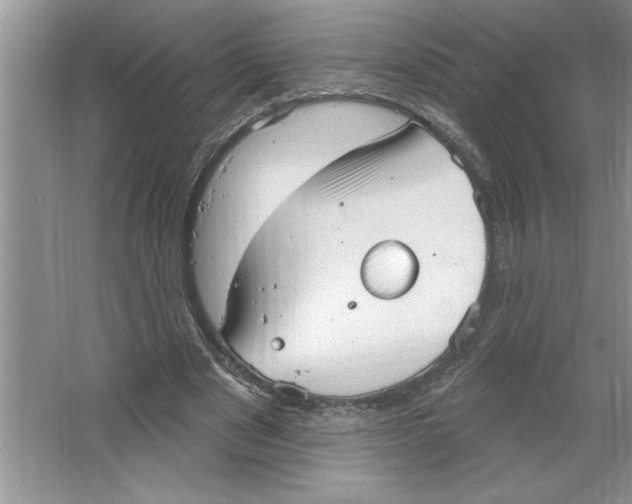 X0000064740489200603031711