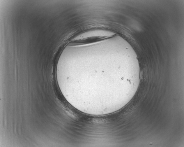 X0000064740490200603031711