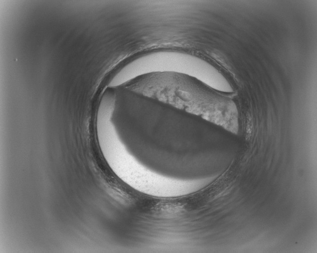 X0000064740491200603031711