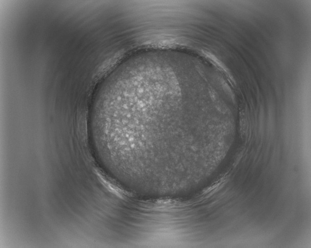 X0000064740493200603031711