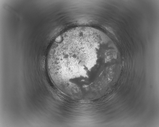 X0000064740495200603031711