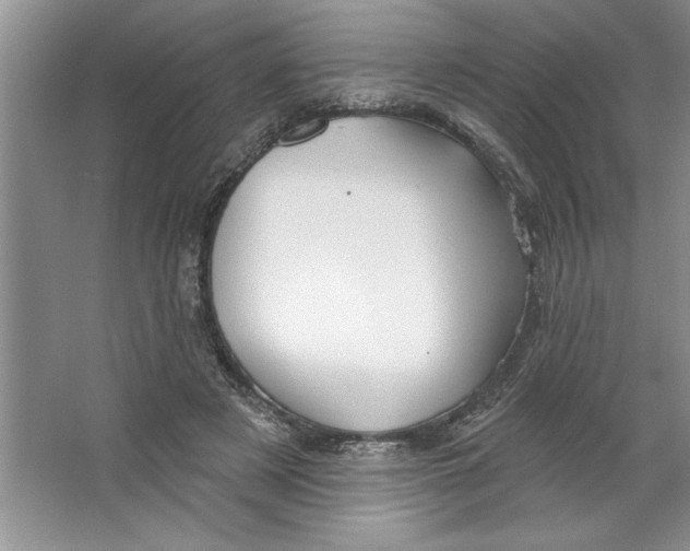 X0000064740497200603031711