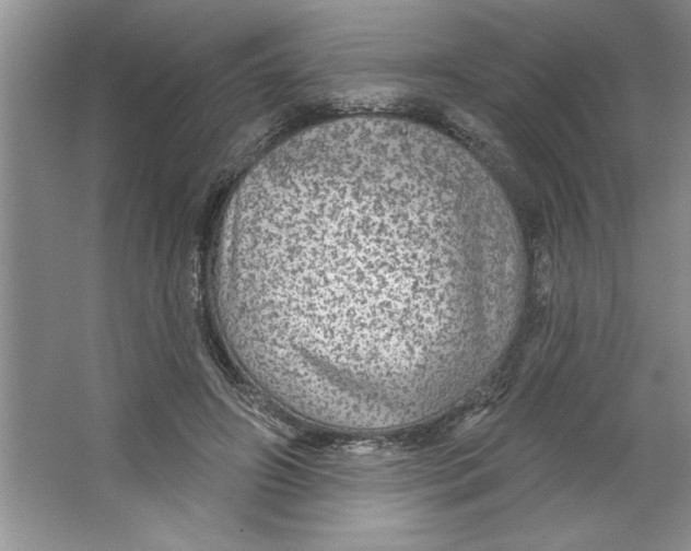 X0000064740498200603031711