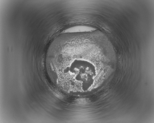 X0000064740499200603031711