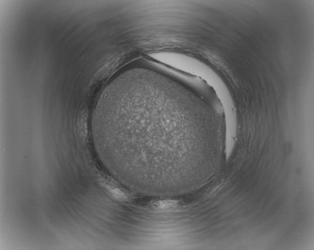 X0000064740501200603031711