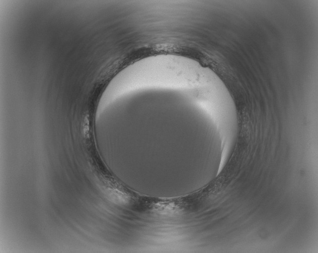 X0000064740502200603031711