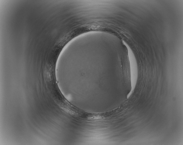 X0000064740503200603031711