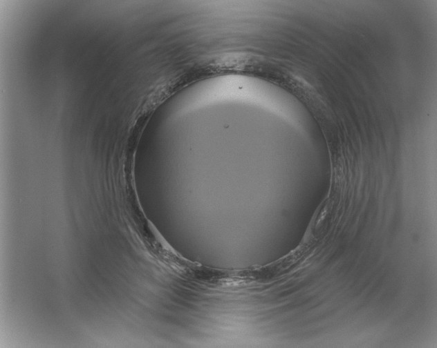 X0000064740504200603031711