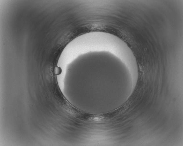 X0000064740506200603031711