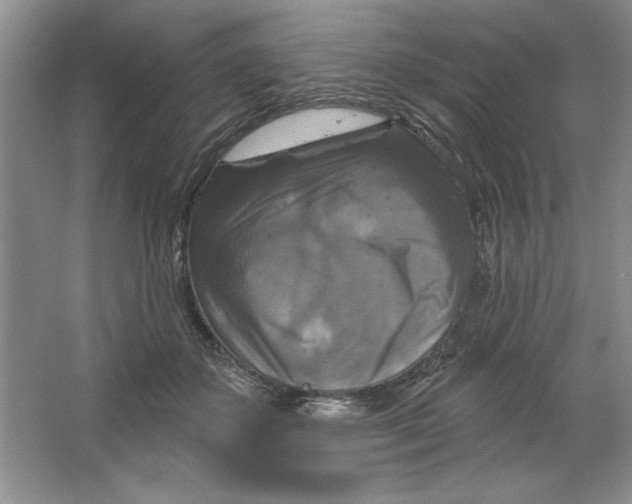 X0000064740507200603031711