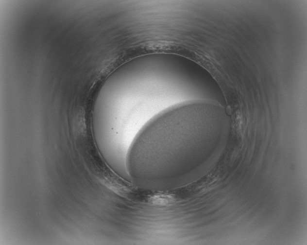 X0000064740508200603031711