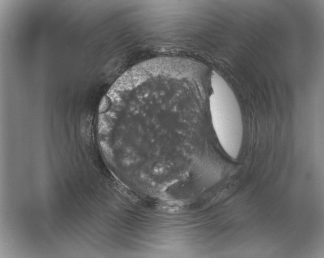 X0000064740511200603031711