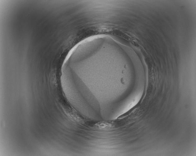 X0000064740512200603031711