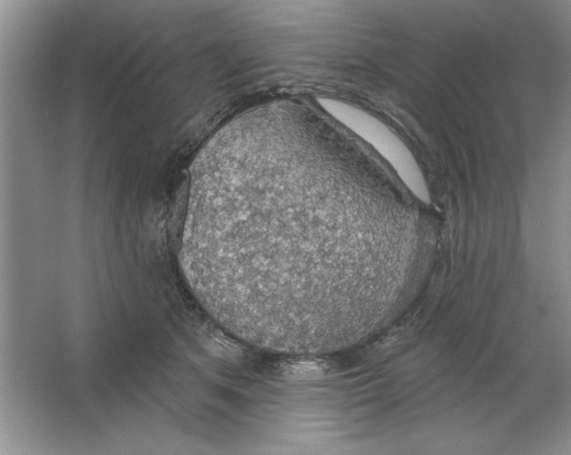 X0000064740513200603031711