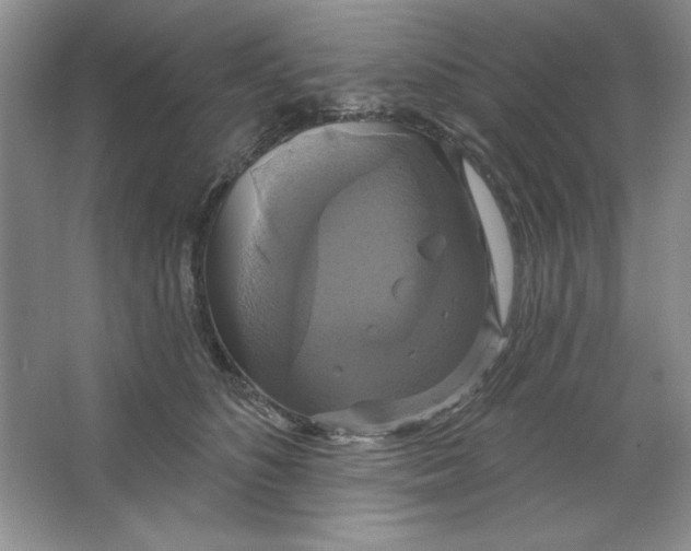 X0000064740516200603031711