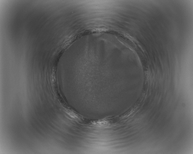 X0000064740517200603031711