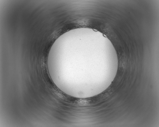 X0000064740518200603031711