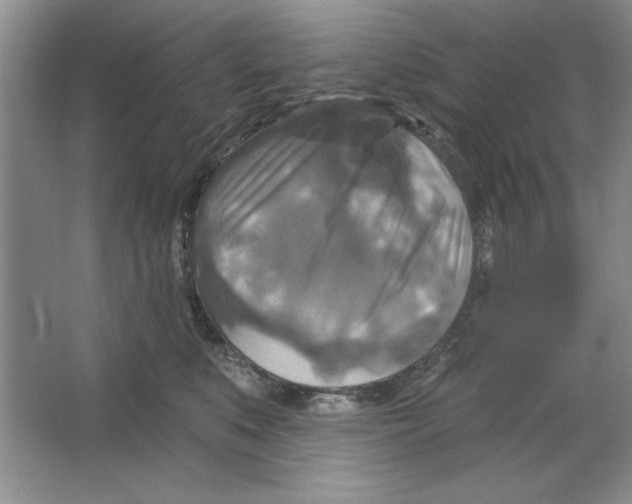 X0000064740519200603031711