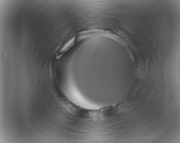 X0000064740520200603031711