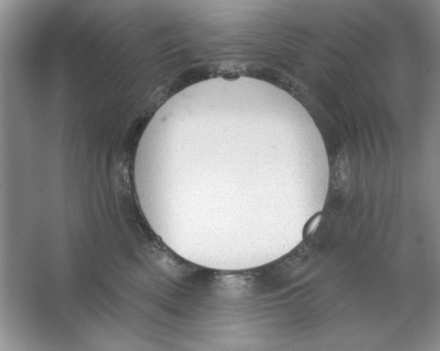 X0000064740522200603031711