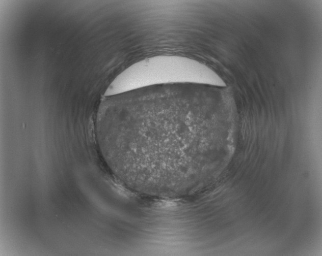 X0000064740523200603031711