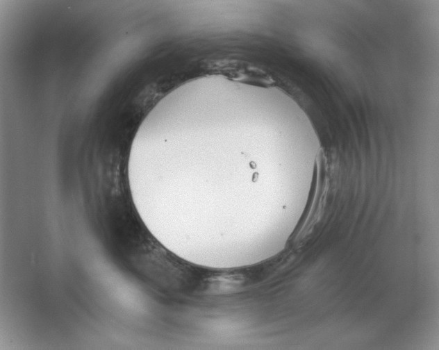 X0000064740525200603031711