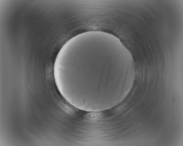 X0000064740526200603031711