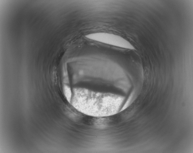 X0000064740527200603031711