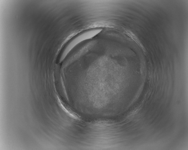 X0000064740530200603031710