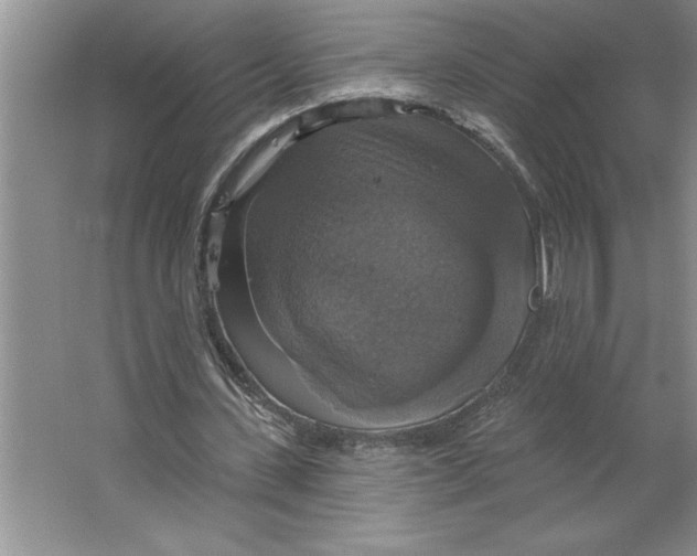 X0000064740531200603031710